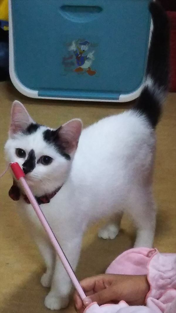 写真