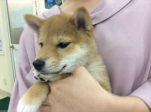 写真