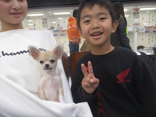 写真