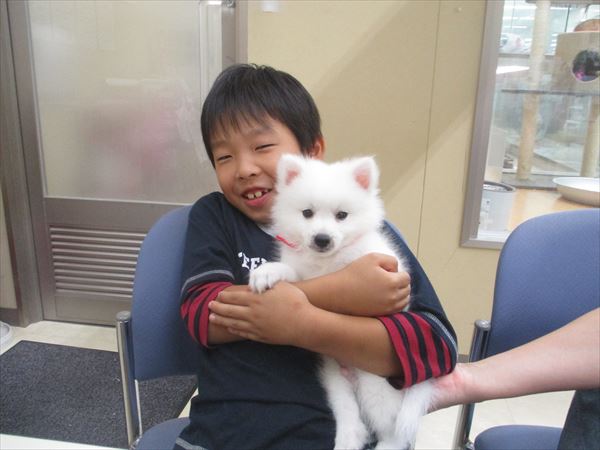 写真