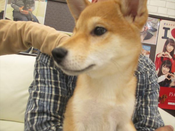 写真