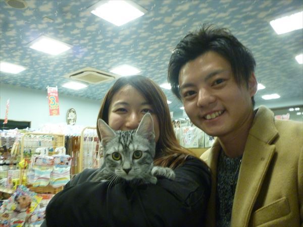 写真