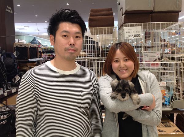 写真