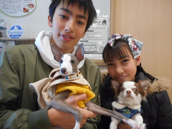 写真