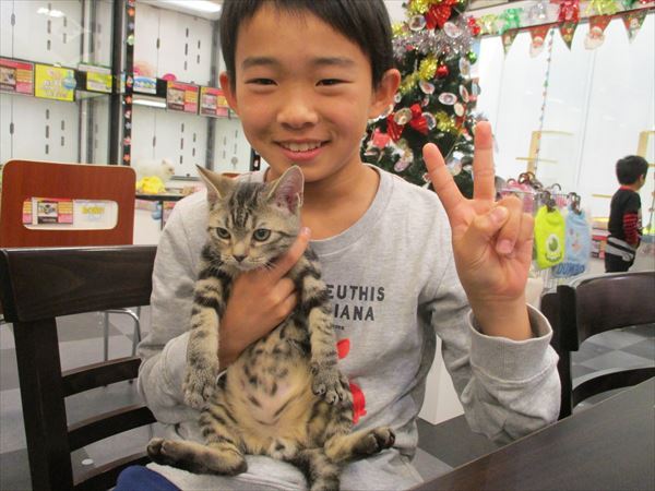 写真