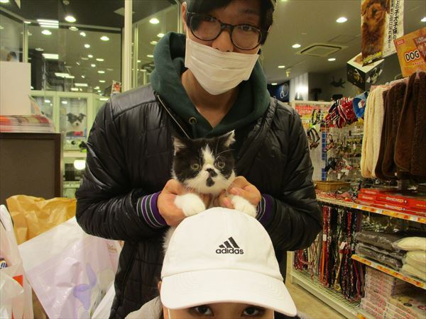 写真