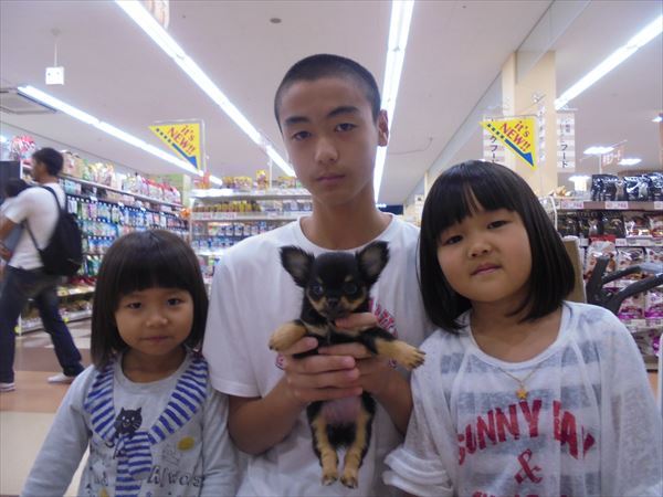 写真