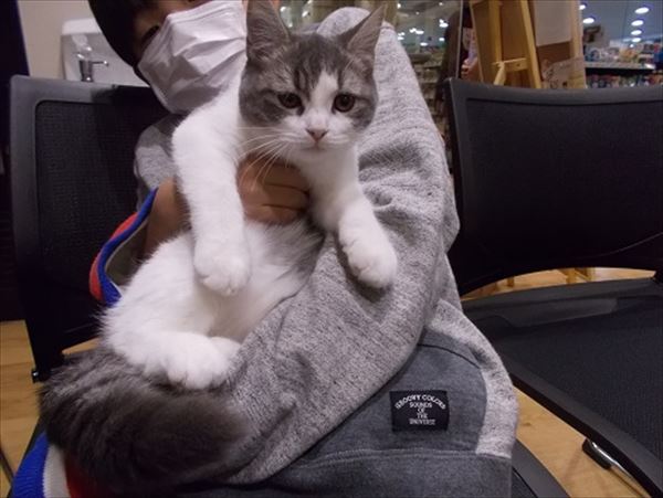 写真