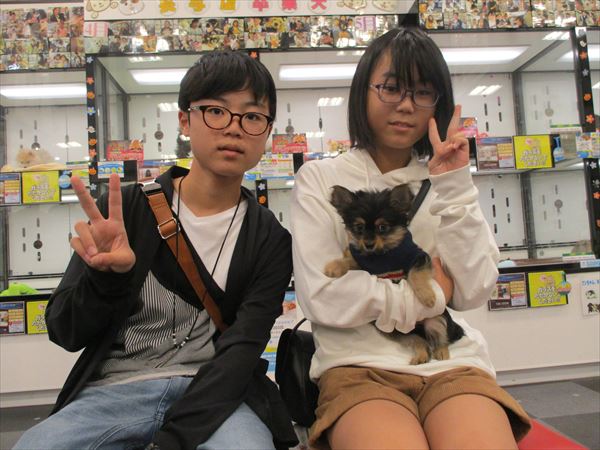 写真