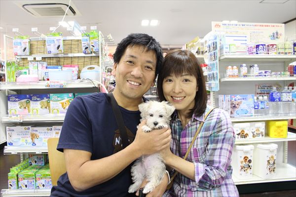 写真