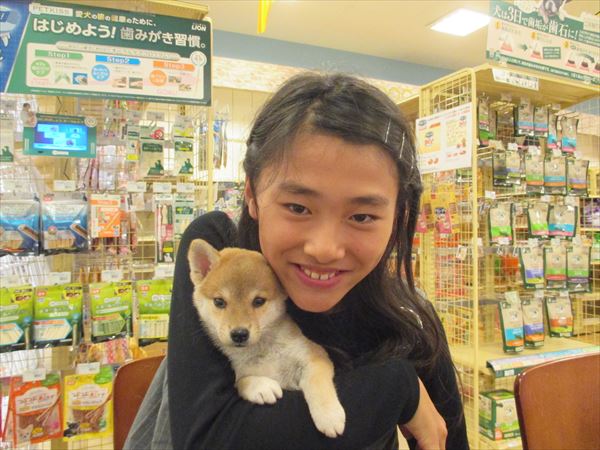 写真