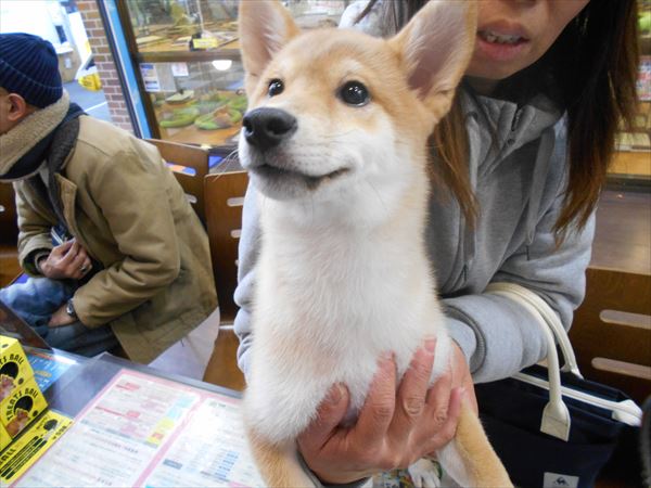 写真