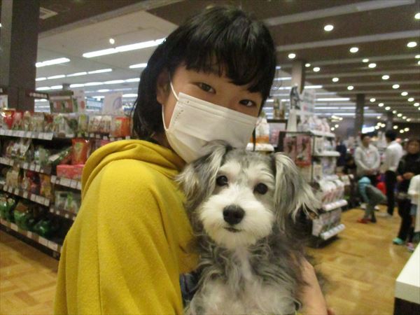 写真