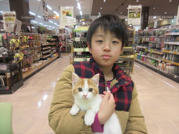 写真