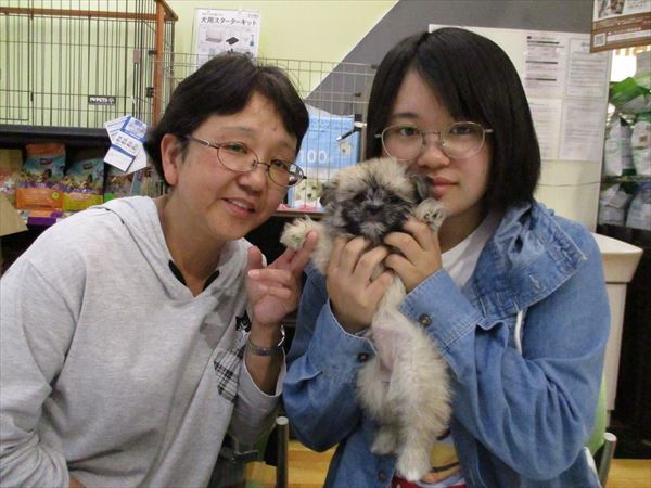 写真