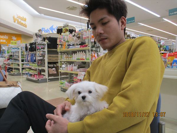 写真