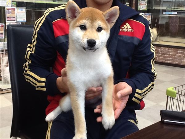 写真