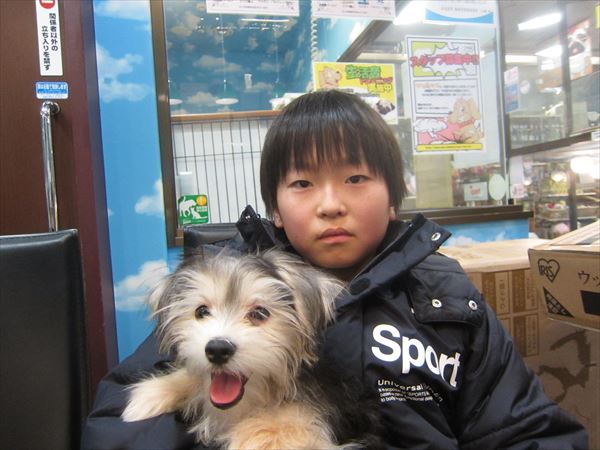 写真