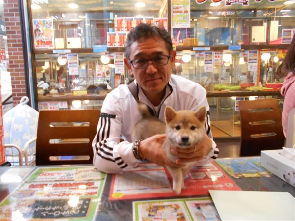 写真