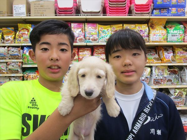 写真