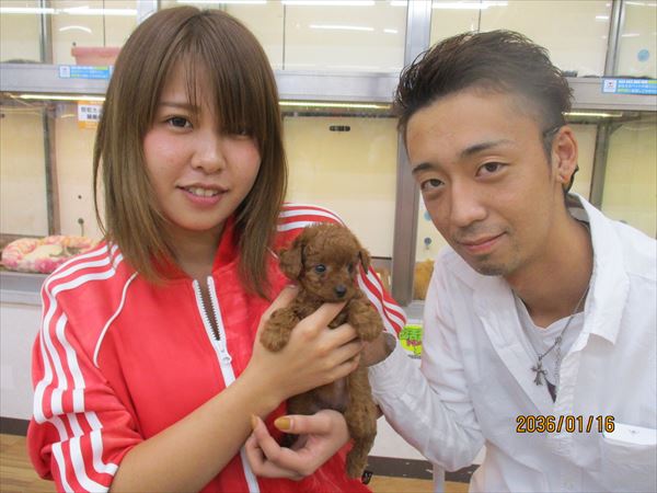 写真