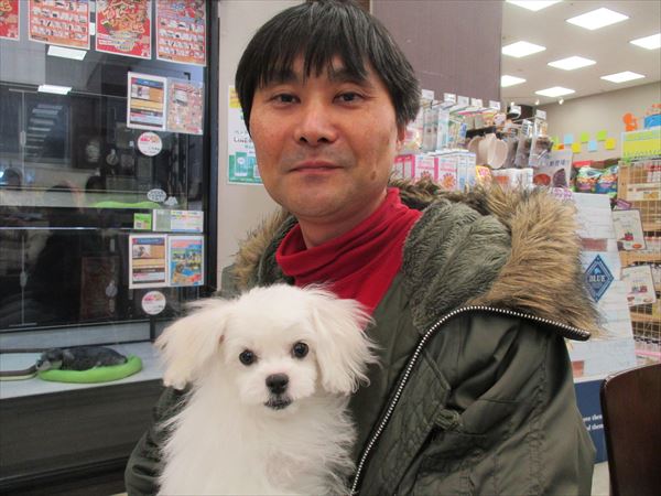 写真