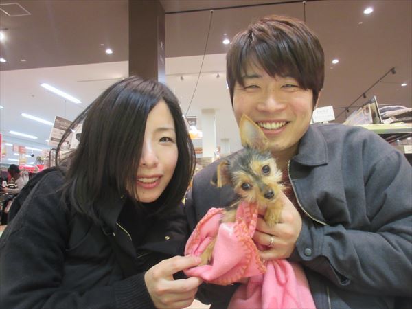 写真