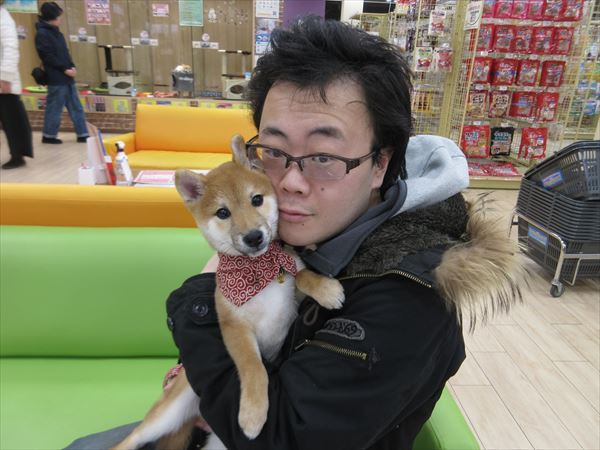 写真