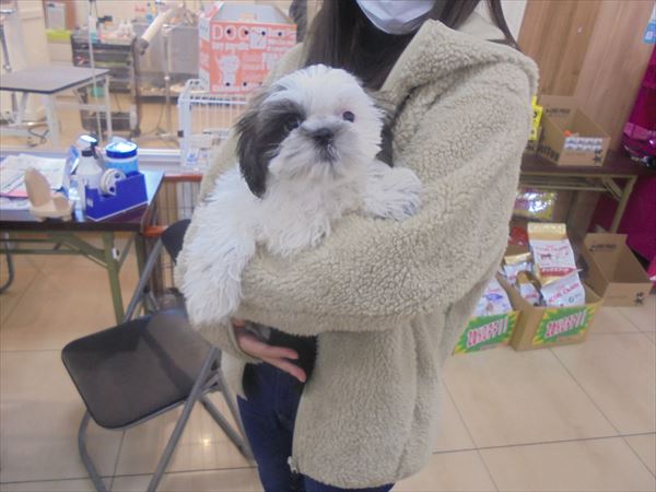 写真