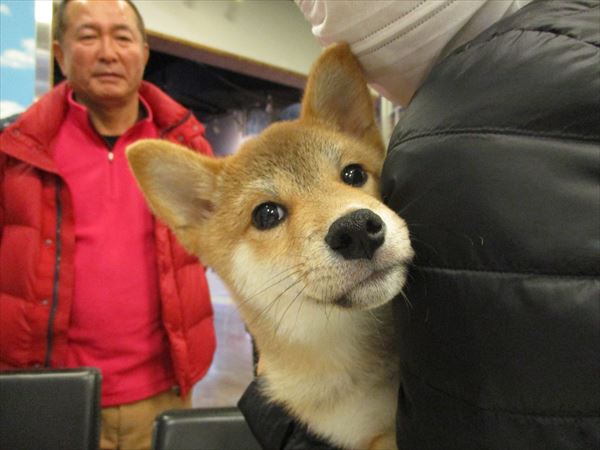 写真