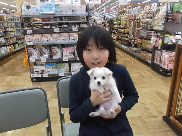 写真