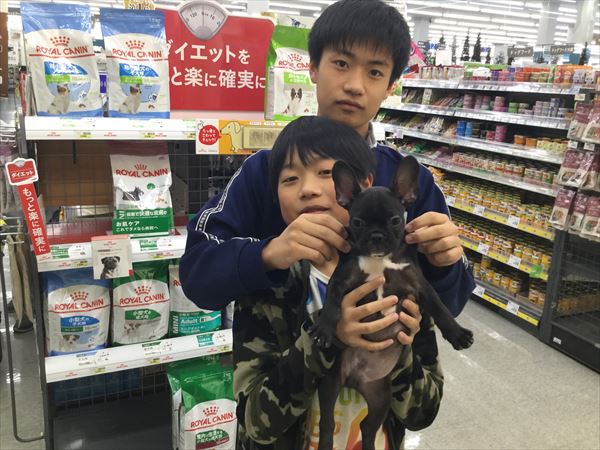 写真