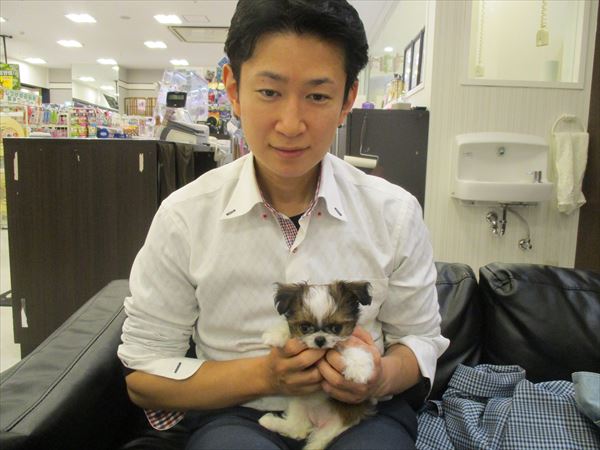写真