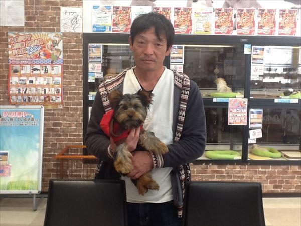 写真