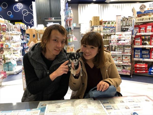 写真