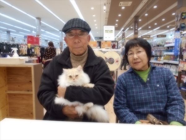 写真