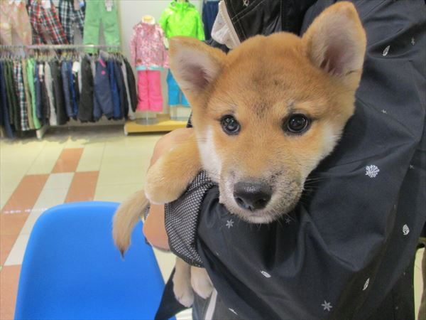 写真