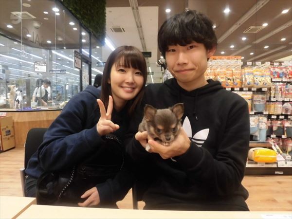 写真