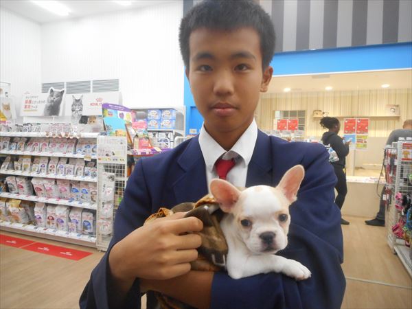 写真