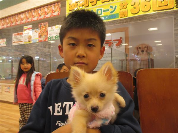 写真