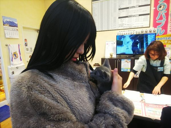 写真