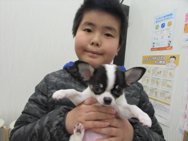 写真