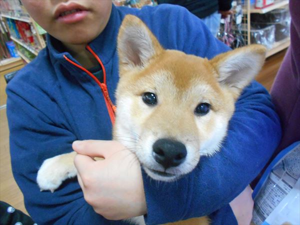 写真