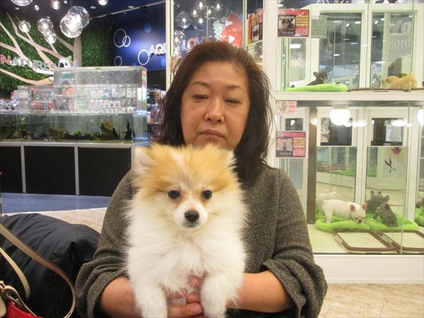 写真