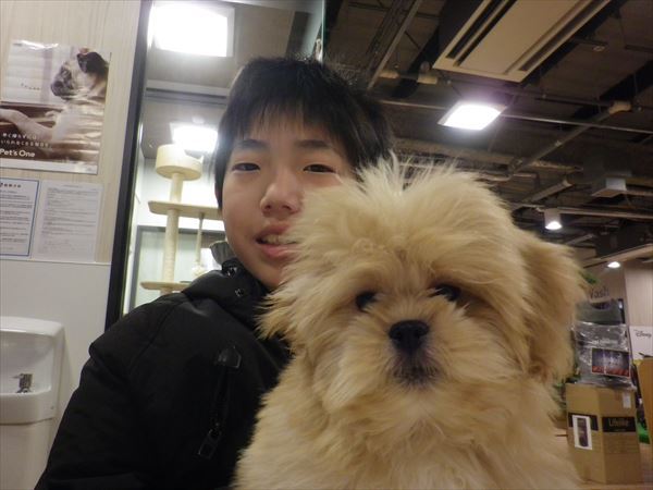 写真