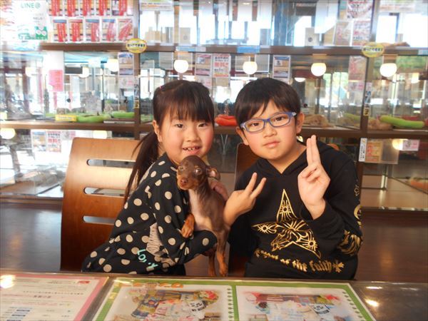 写真