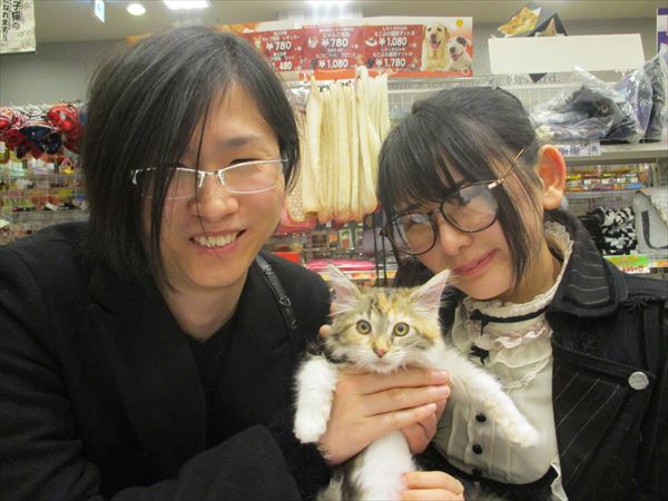 写真