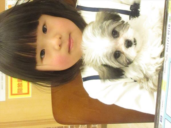 写真