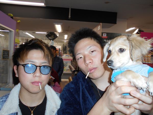 写真