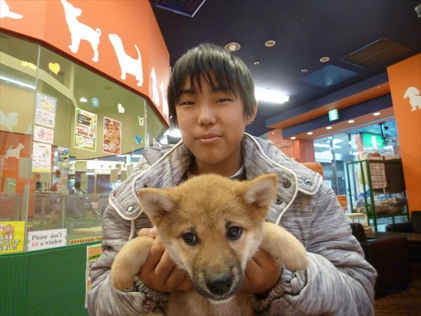 写真